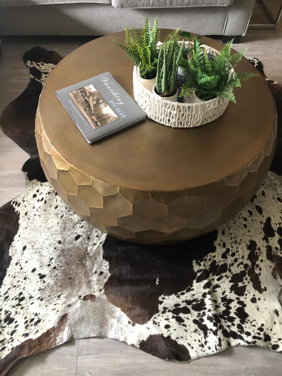 Living room, Decorative detail, Seating area