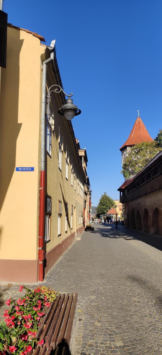 Property building, Day, Neighbourhood, Street view, Location