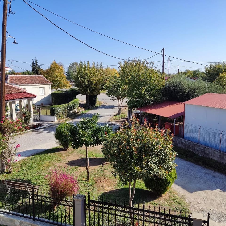 Neighbourhood, Garden view