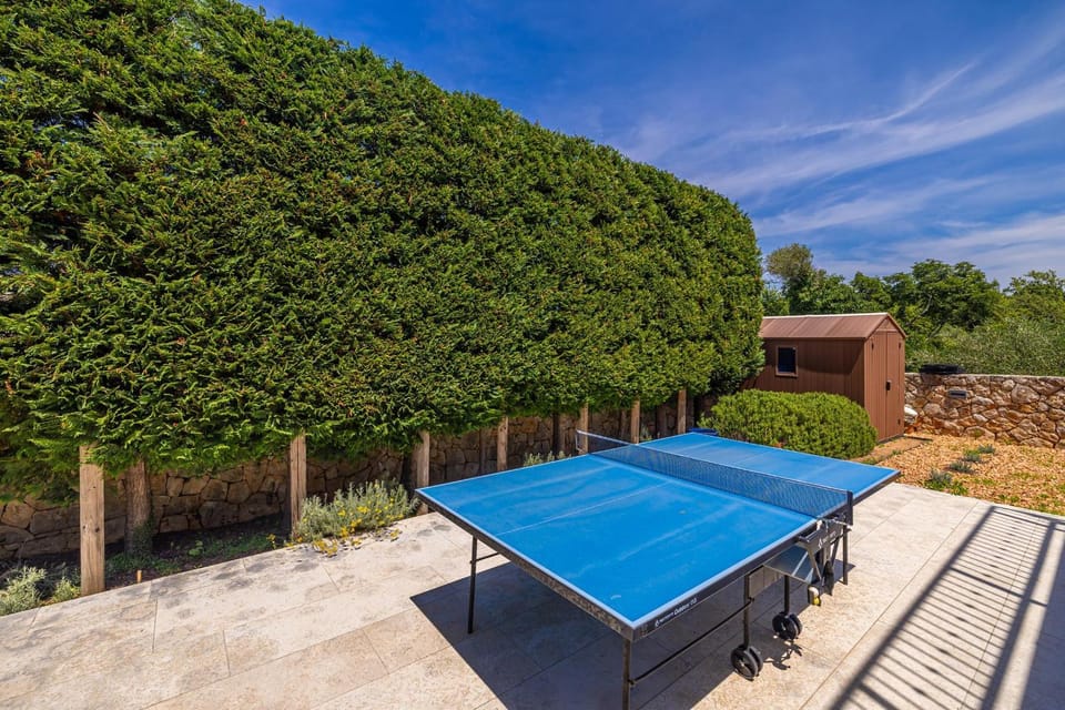 Table tennis