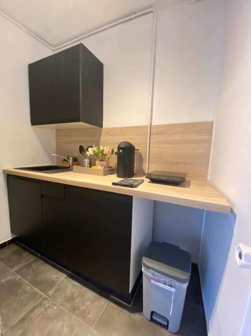 Le Charmant Studio Troyen Apartment in Troyes