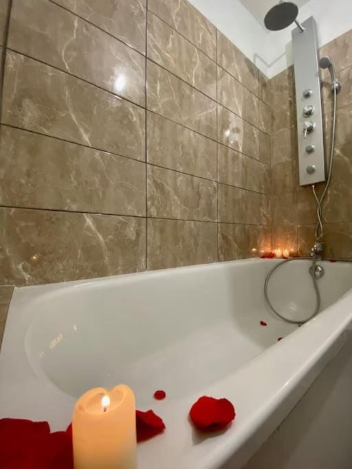 Le Charmant Studio Troyen Apartment in Troyes