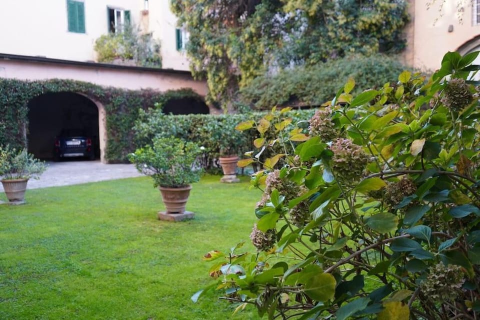 Garden, Garden view