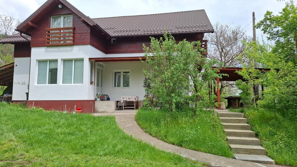 Casa Berbece Bed and Breakfast in Brașov County