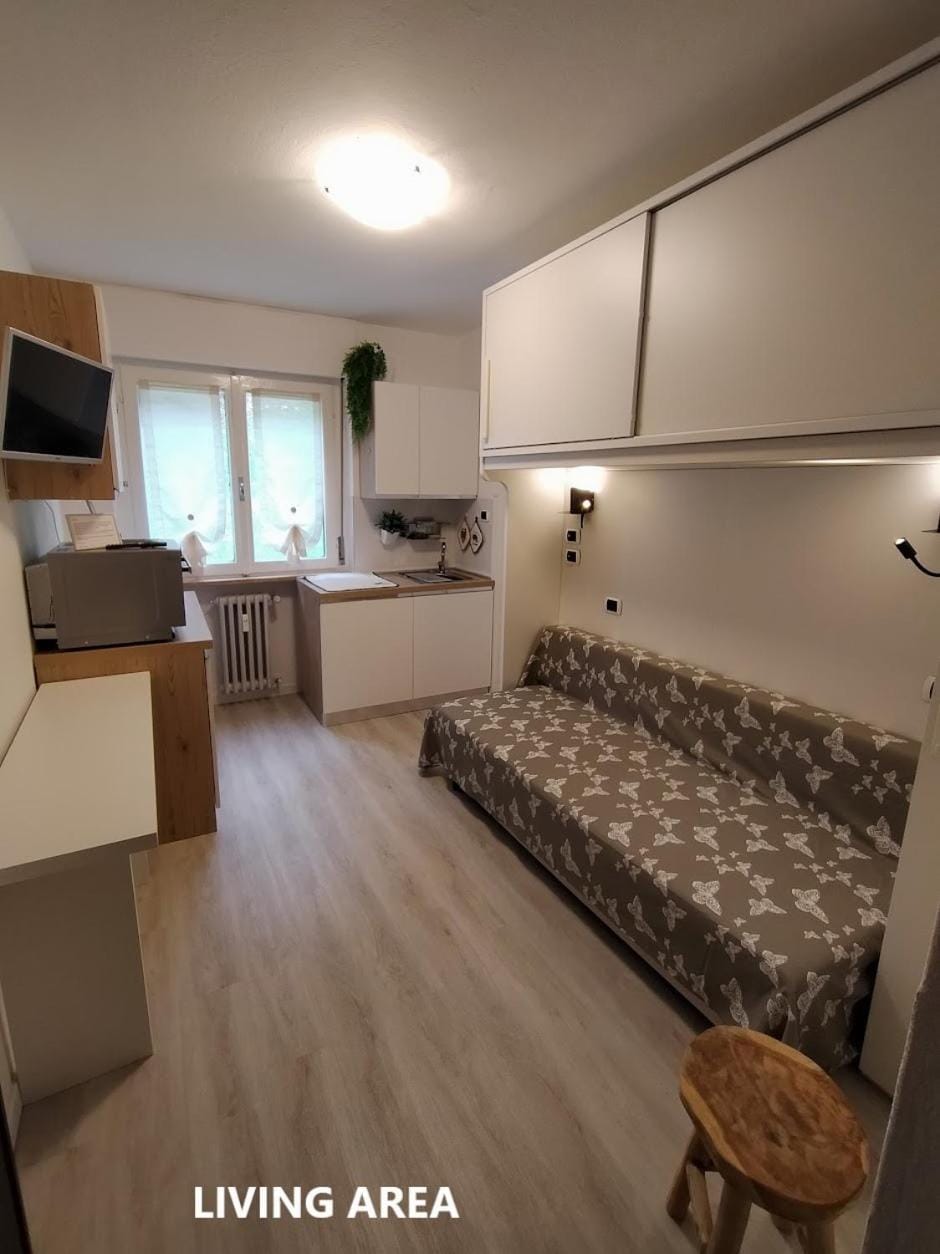 Bed, TV and multimedia, Kitchen or kitchenette, Living room, Seating area