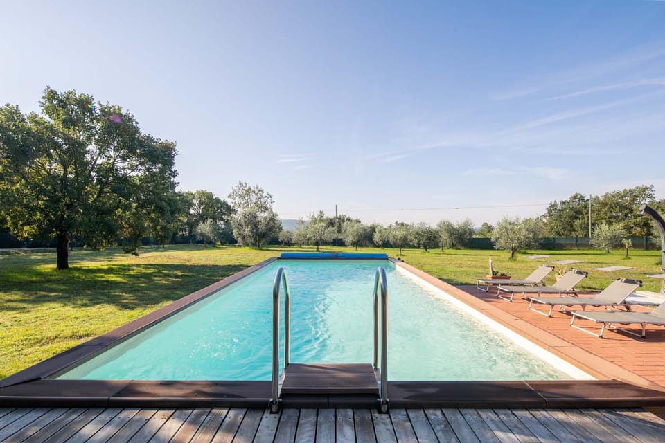 Garden, Swimming pool, sunbed