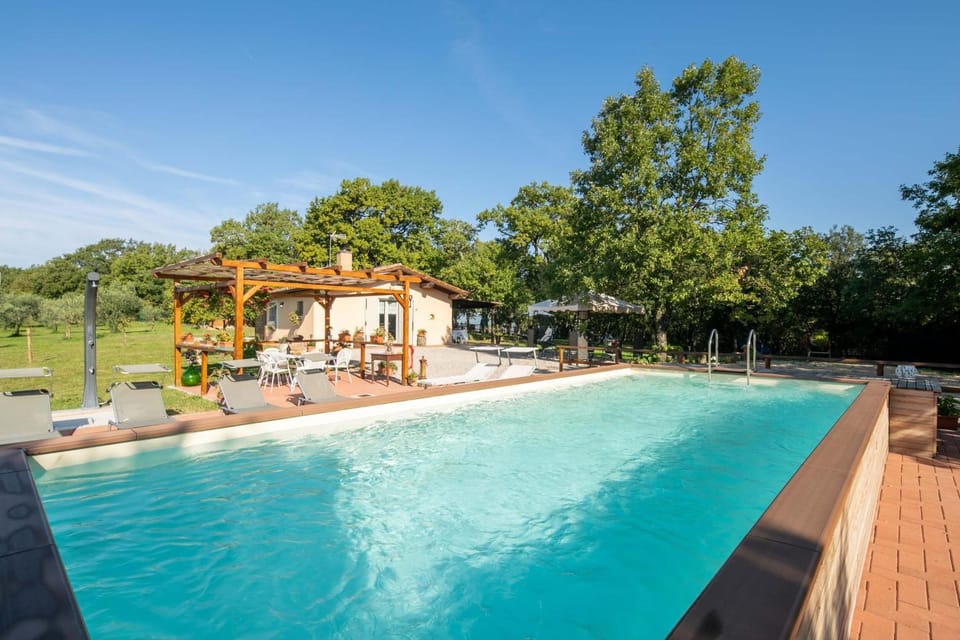 Day, Garden, Swimming pool, sunbed