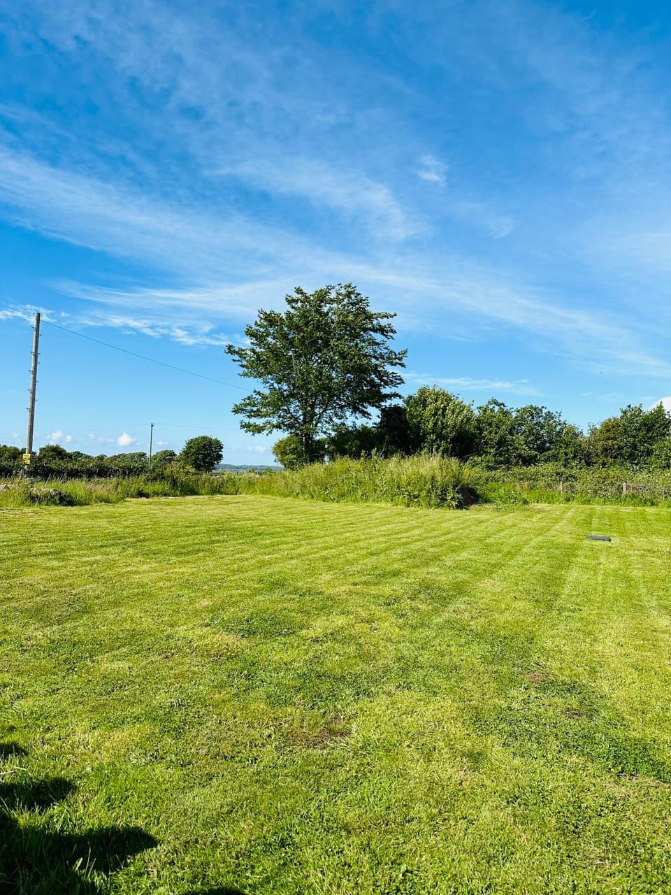 Natural landscape, Garden