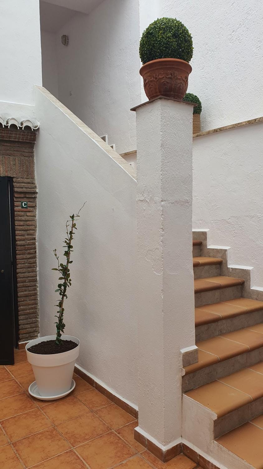 Inner courtyard view