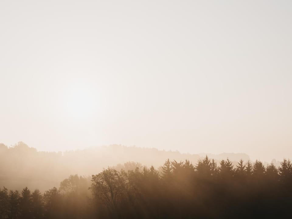 Natural landscape