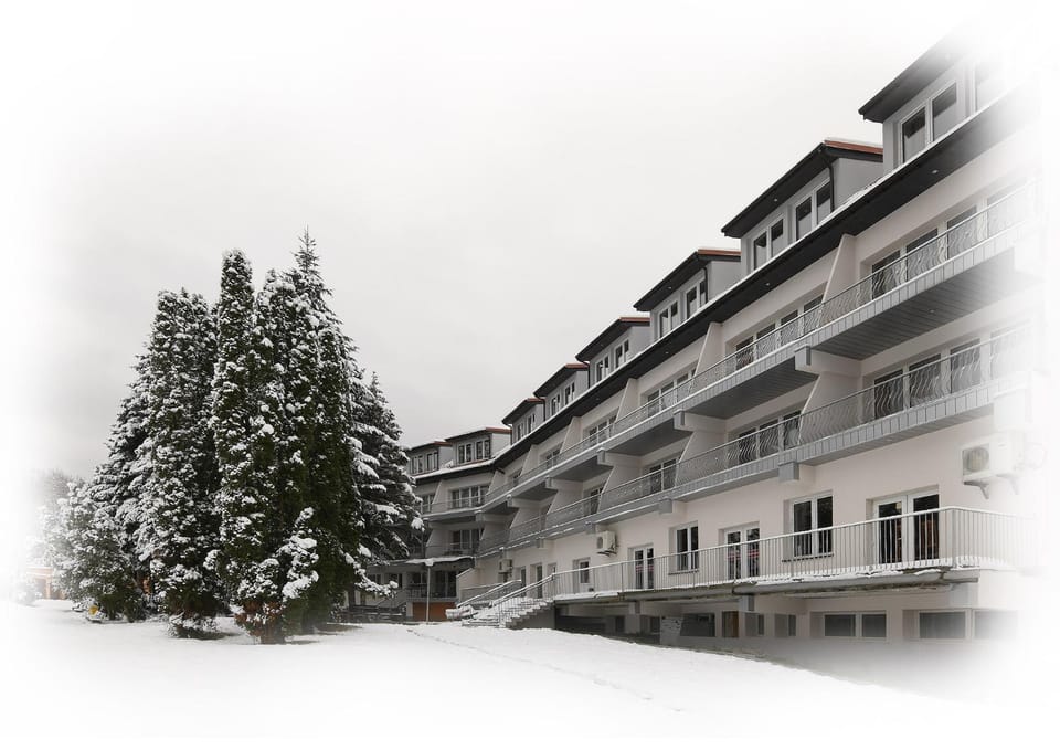 Property building, Winter