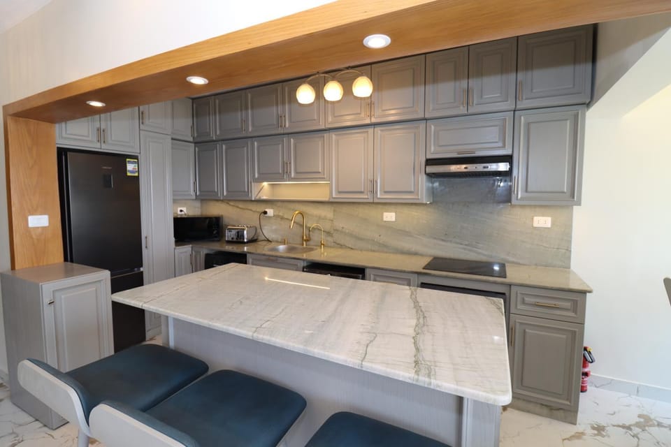 Kitchen or kitchenette, minibar, oven, pet friendly, stove, toaster