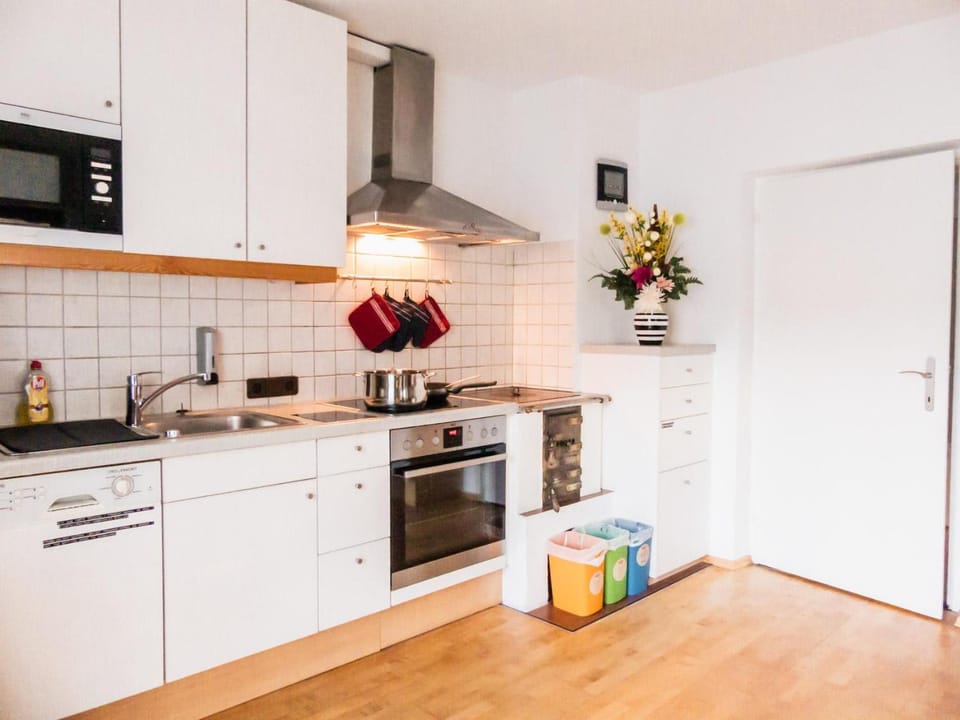 Kitchen or kitchenette, dishwasher, stove