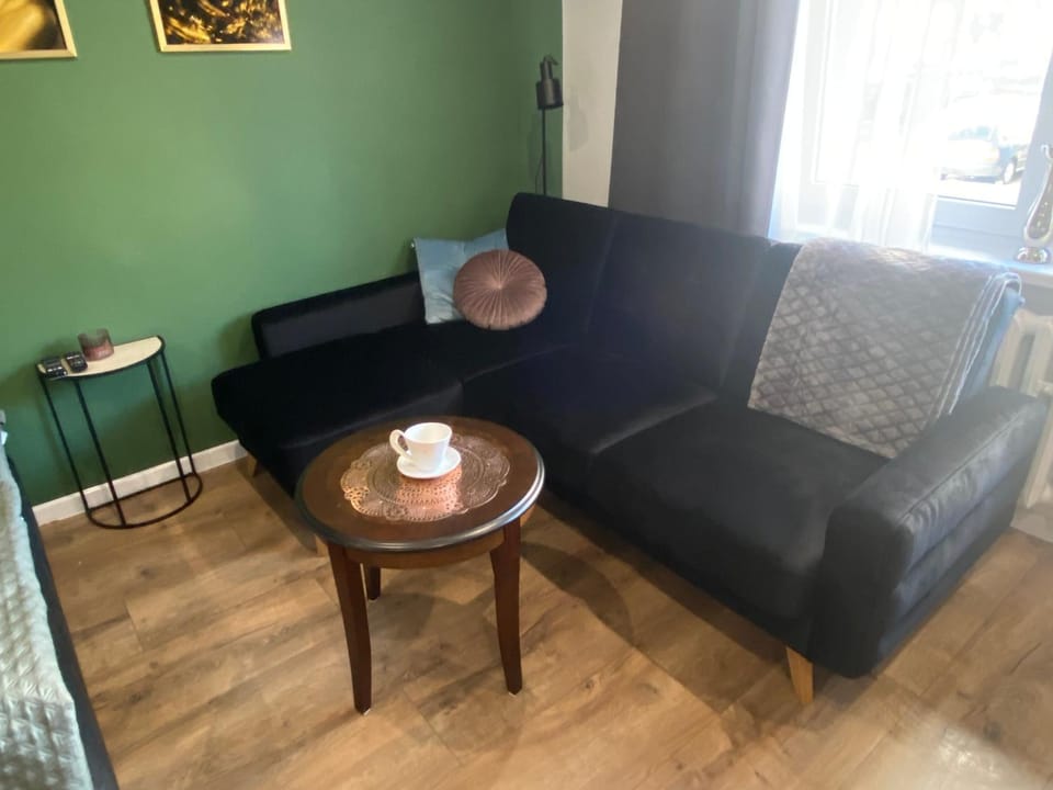 Apartament Błogi Sen- komfortowy nocleg w sercu Bytomia Apartment in Poland