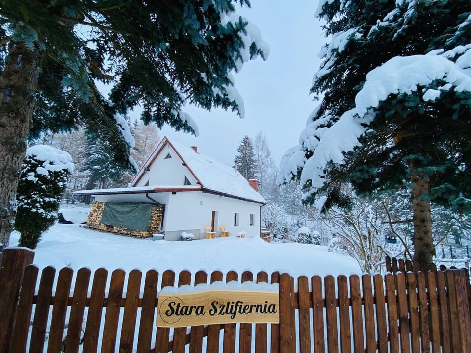 Property building, Winter, Garden