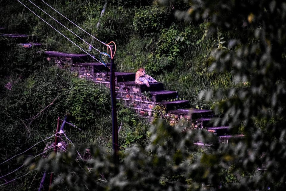 B2 Guest House Bed and Breakfast in Uttarakhand