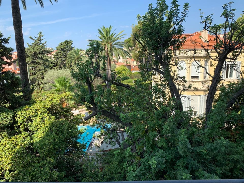 Garden view
