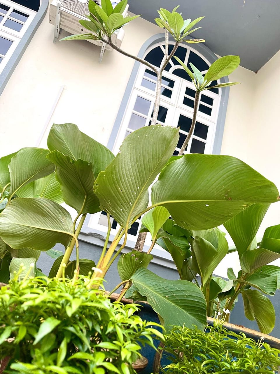 Garden, Garden view