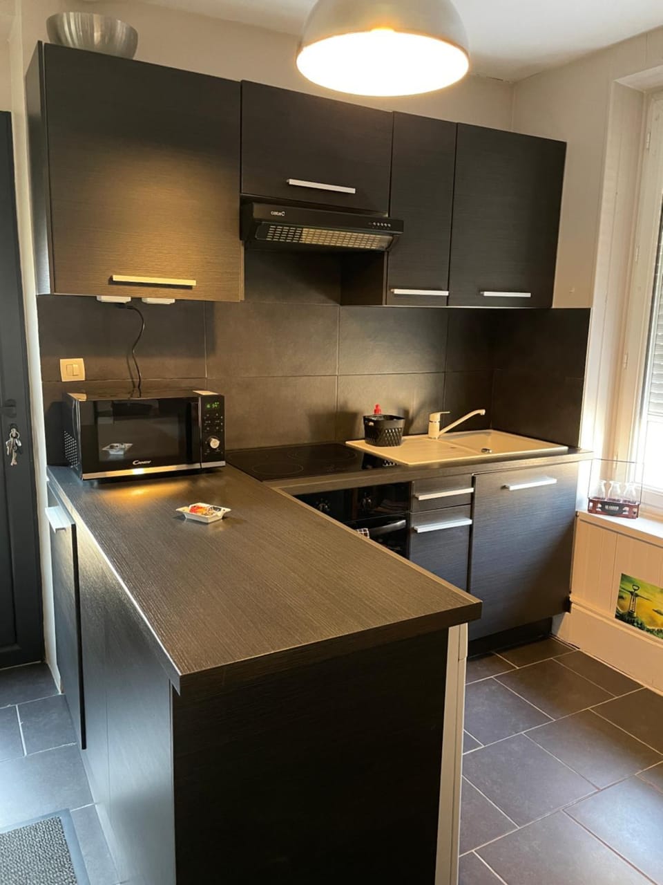 Kitchen or kitchenette, dishwasher, minibar, pet friendly