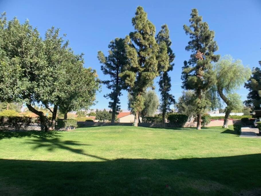 Perfect Palm Springs Pied-à-terre Apartment in Palm Springs