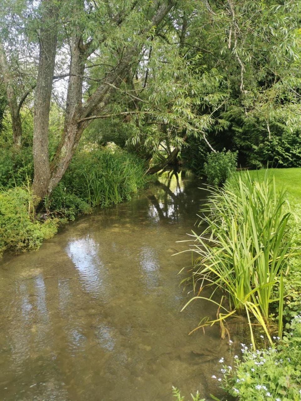 Fisherman's Cabin on the banks of the River Meon Cabin in England