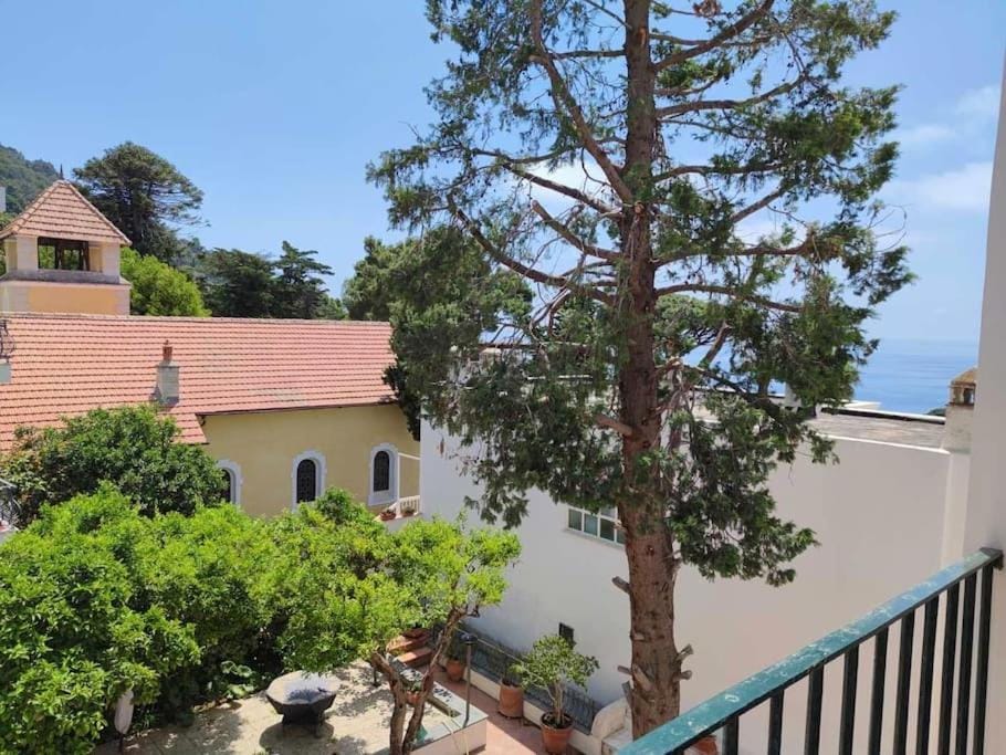 Casa Giusi Apartment in Capri