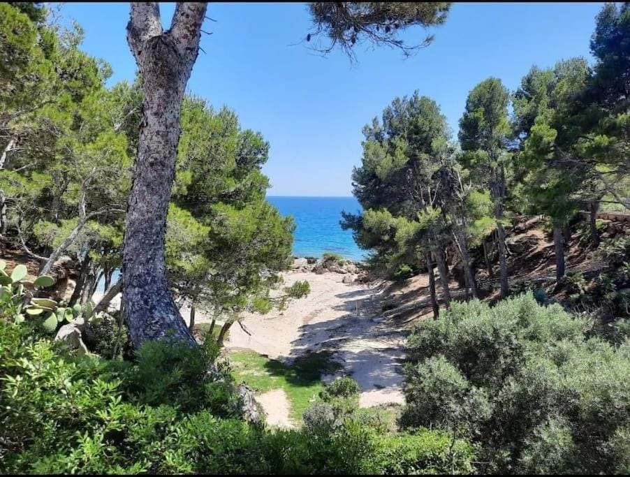 Villa climatisée bord de mer avec piscine privée House in Baix Camp