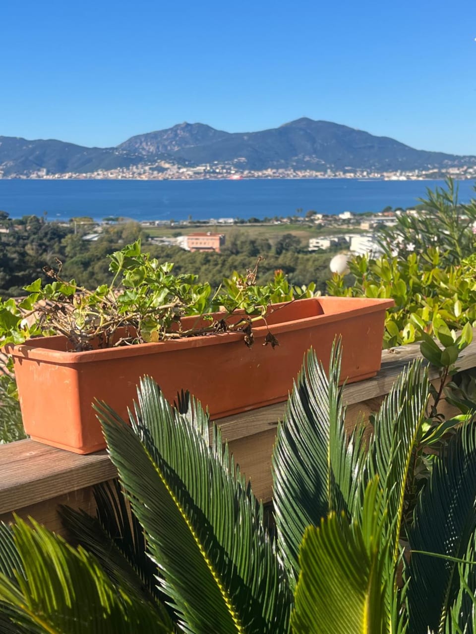 Charmant appartement refait à neuf vue mer Apartment in Ajaccio