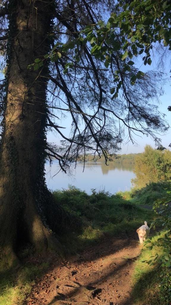 Cracatinni Mews Apartment in Wicklow, Co. Wicklow, Ireland