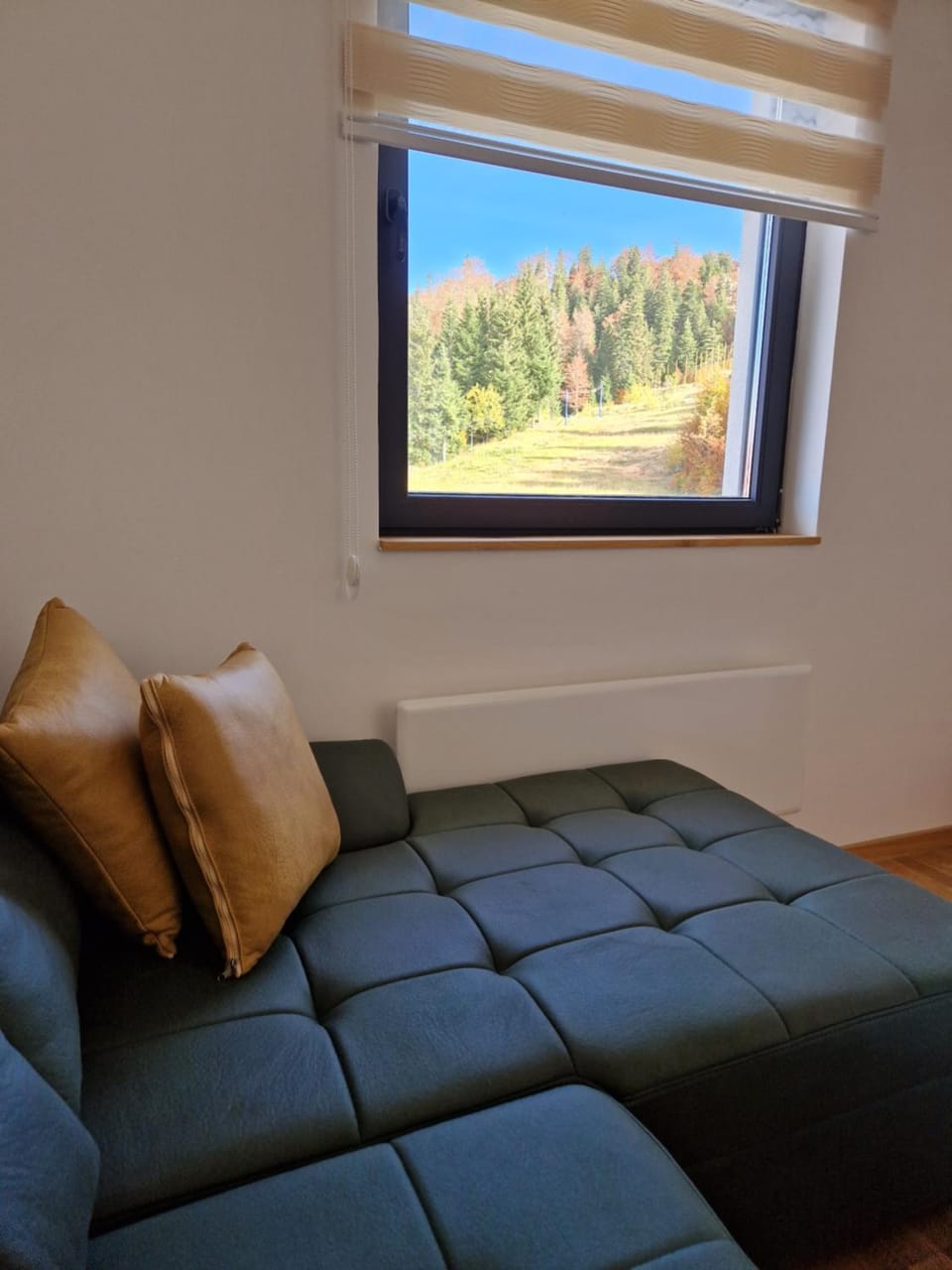 Living room, Mountain view