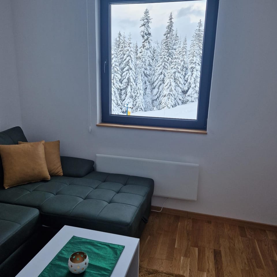 Skiing, Living room, Mountain view