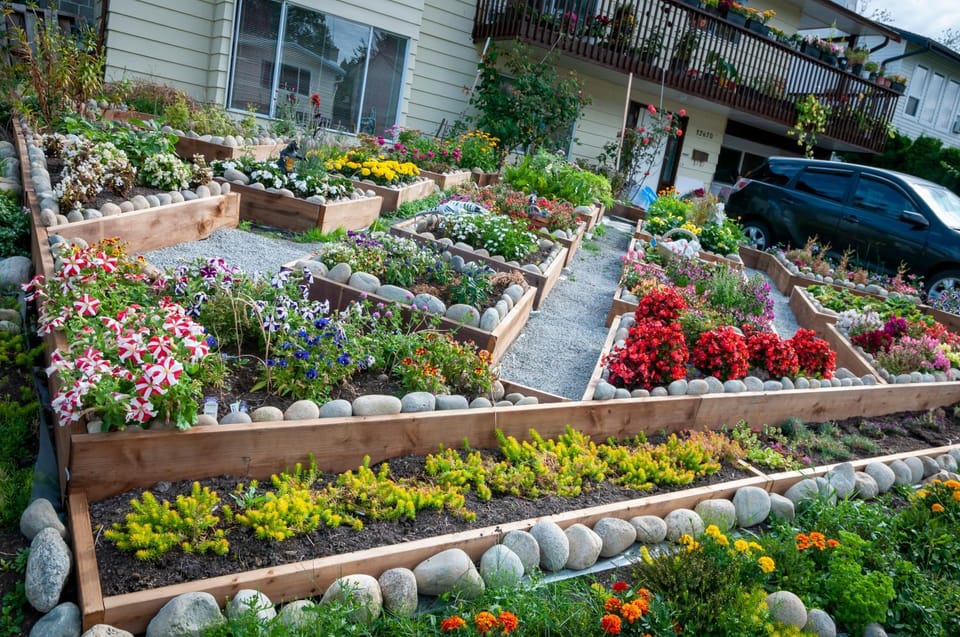Day, Garden, Garden view