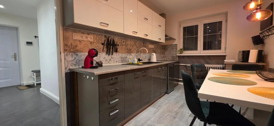 Kitchen or kitchenette, Dining area, dishwasher, stove