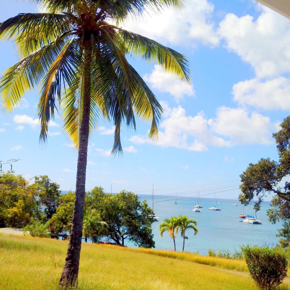 Color Garden - Studio Martinique Apartment in Sainte-Anne