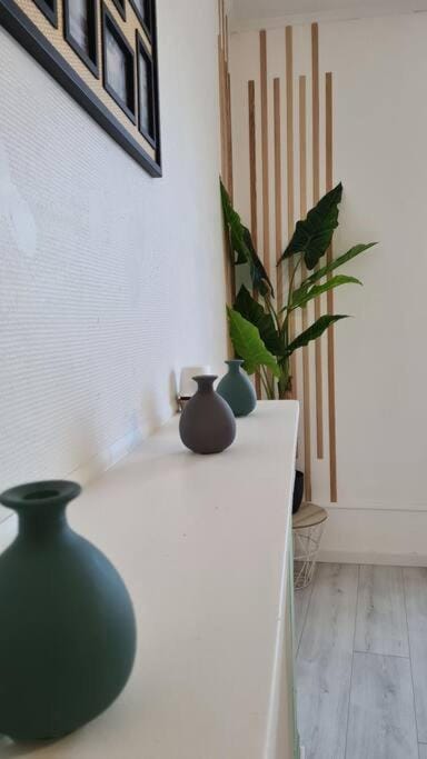Le cocon en cœur de ville Apartment in Catalonia