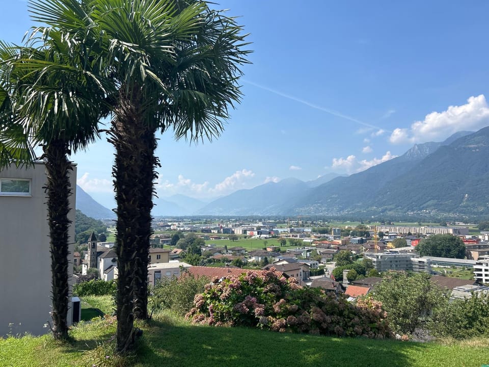 View (from property/room)