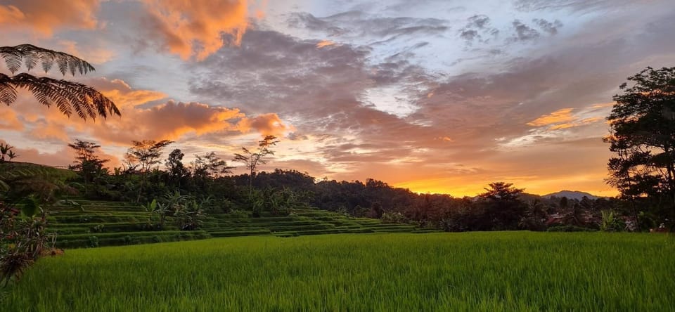 Natural landscape, Garden view, Sunset