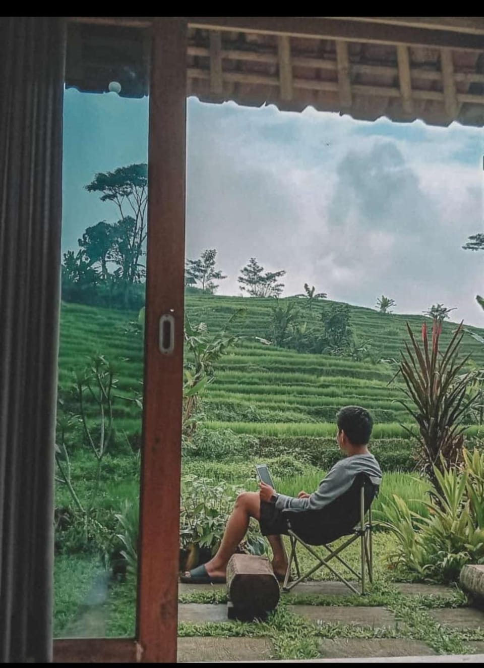 Natural landscape, Garden view