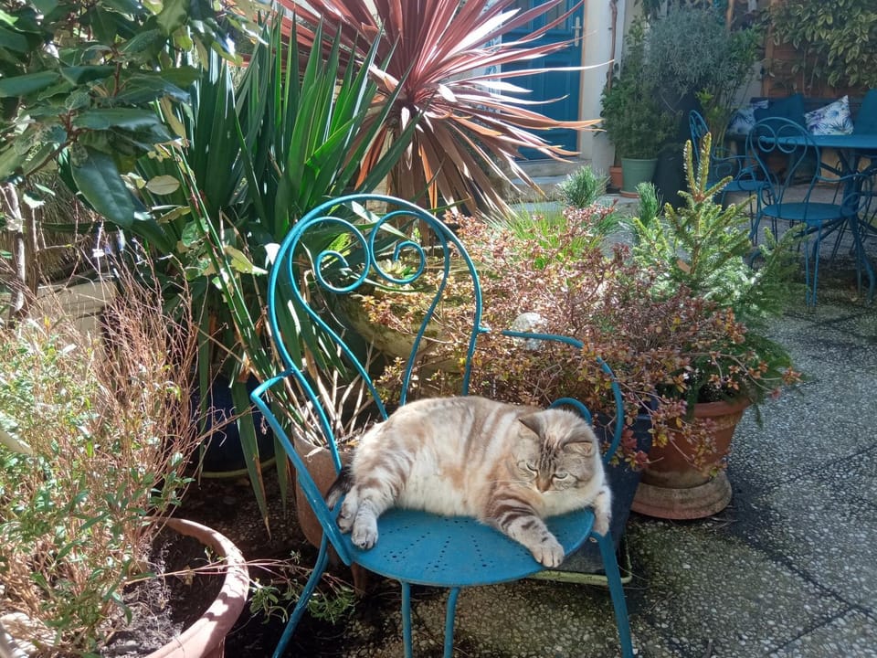 MYSaintAubin Bed and Breakfast in Normandy