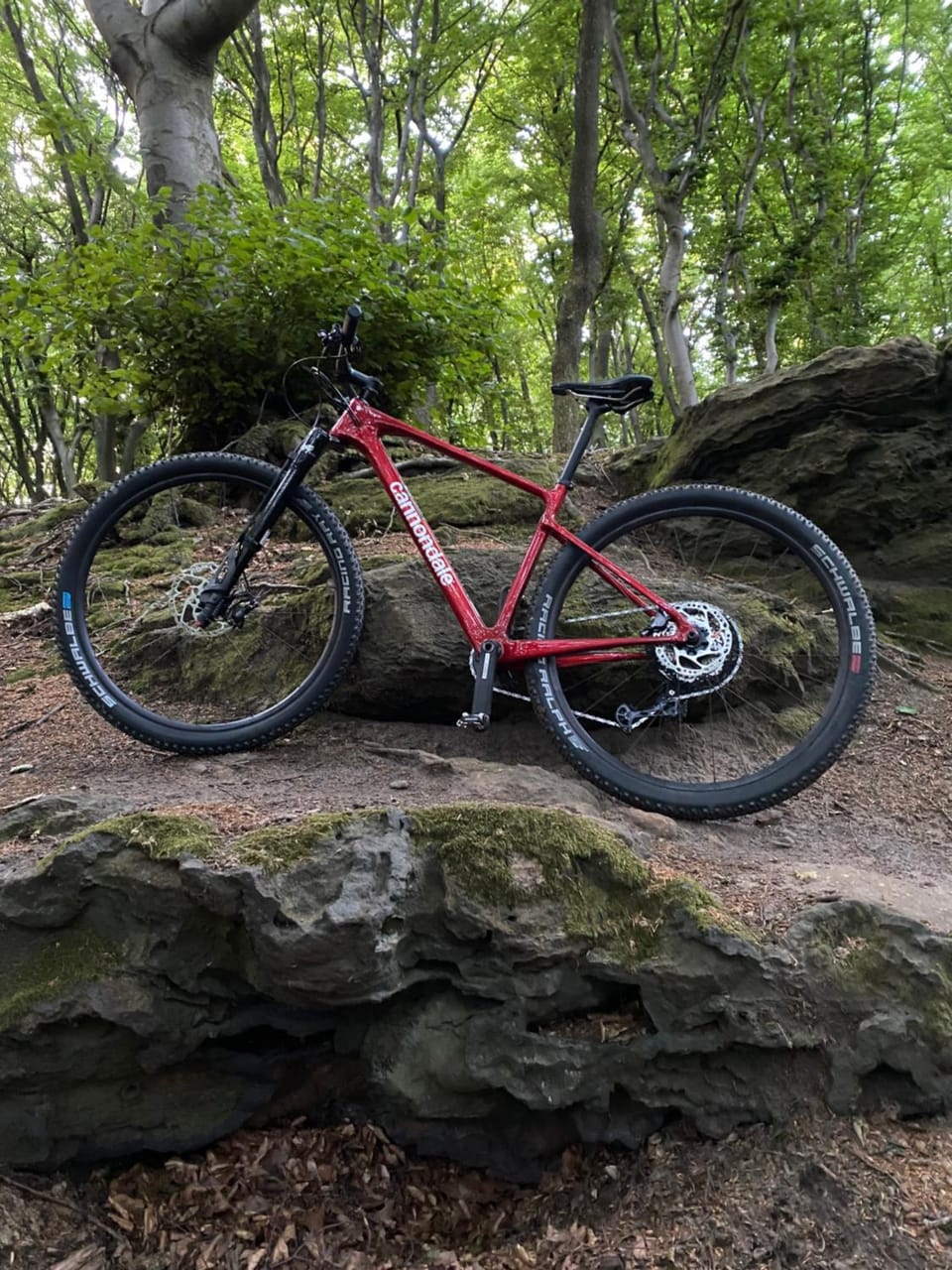 Garden, Cycling