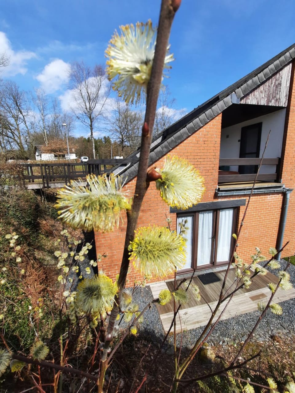 Property building, Spring, Day