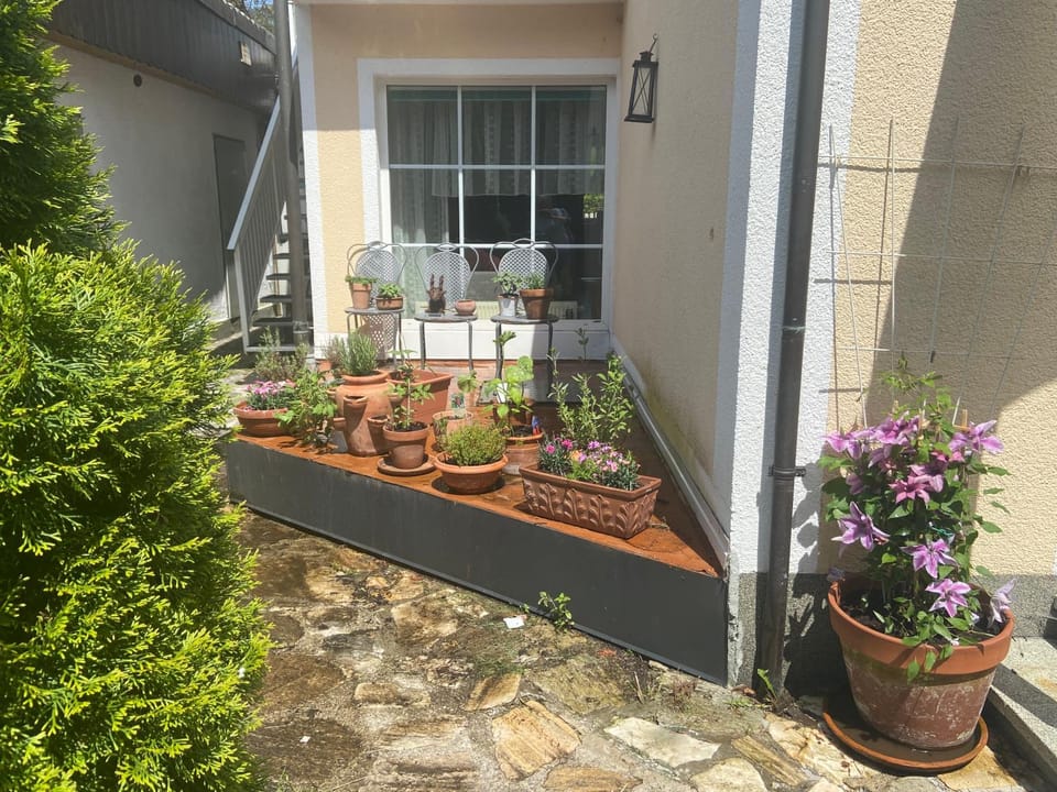 Spring, Garden, Balcony/Terrace