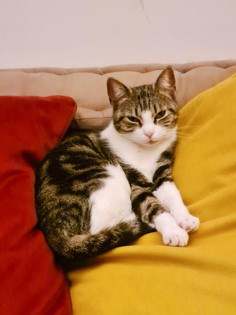 Jolie chambre dans appartement cosy en plein centre Vacation rental in Marseille