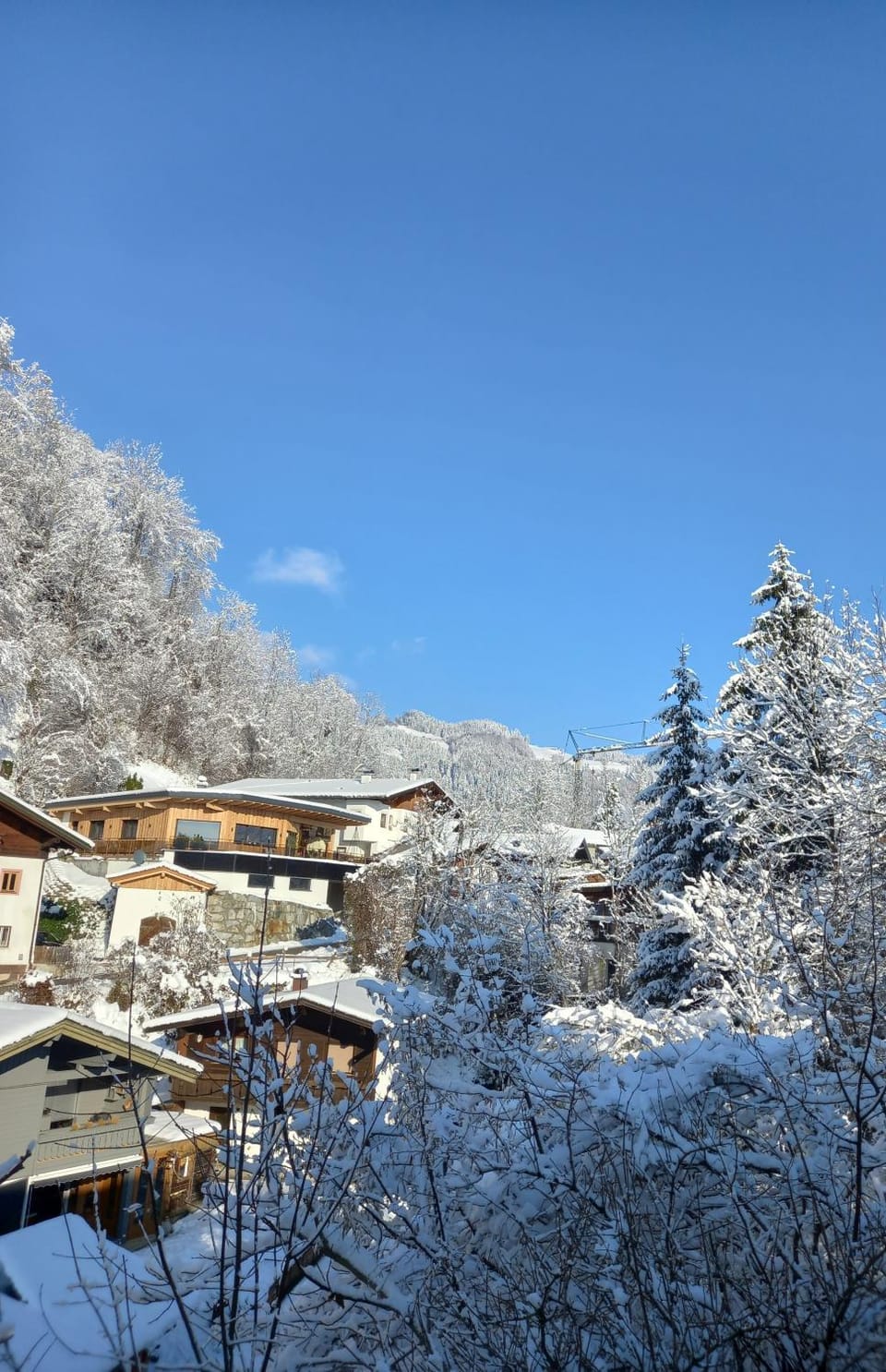 Property building, Winter