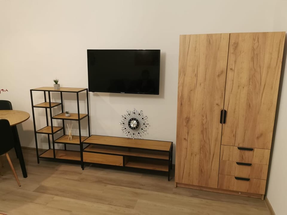 Modern Studio Apartment in Romania