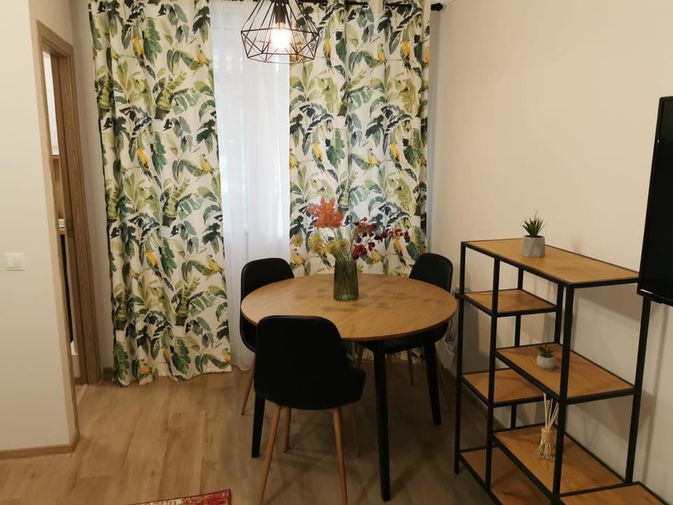 Modern Studio Apartment in Romania