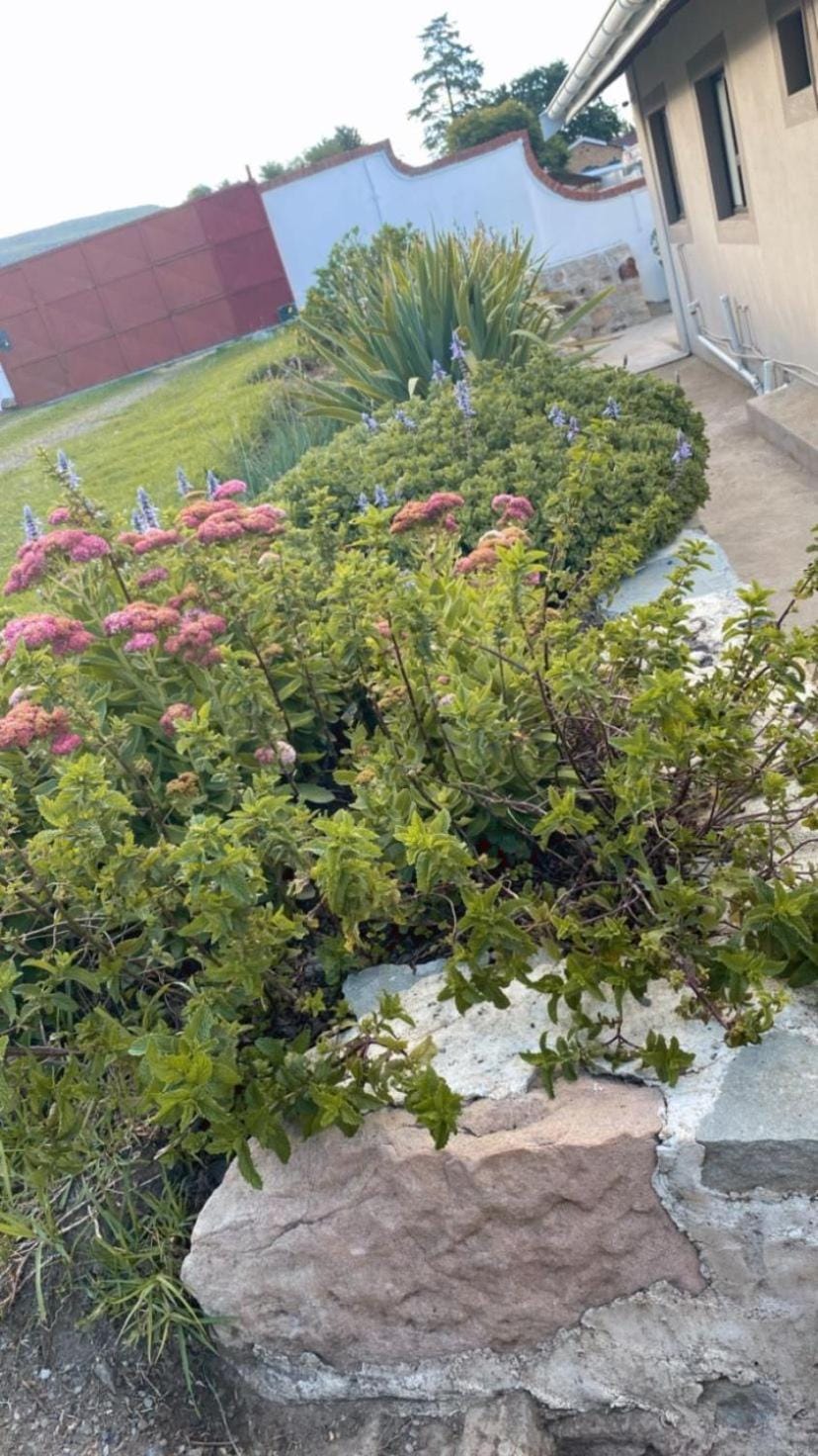 Mercy Land Guesthouse Bed and Breakfast in Eastern Cape