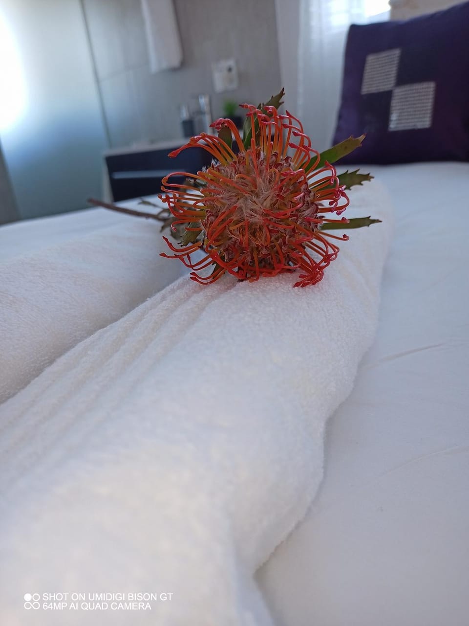 Stay Palm 1 Apartment in Cape Town