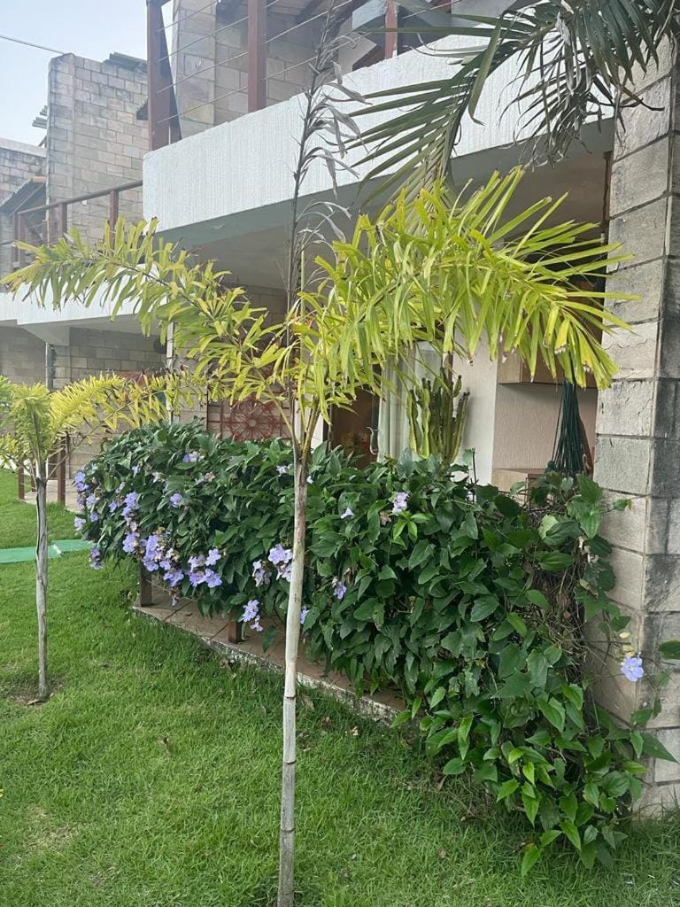 Property building, Garden view