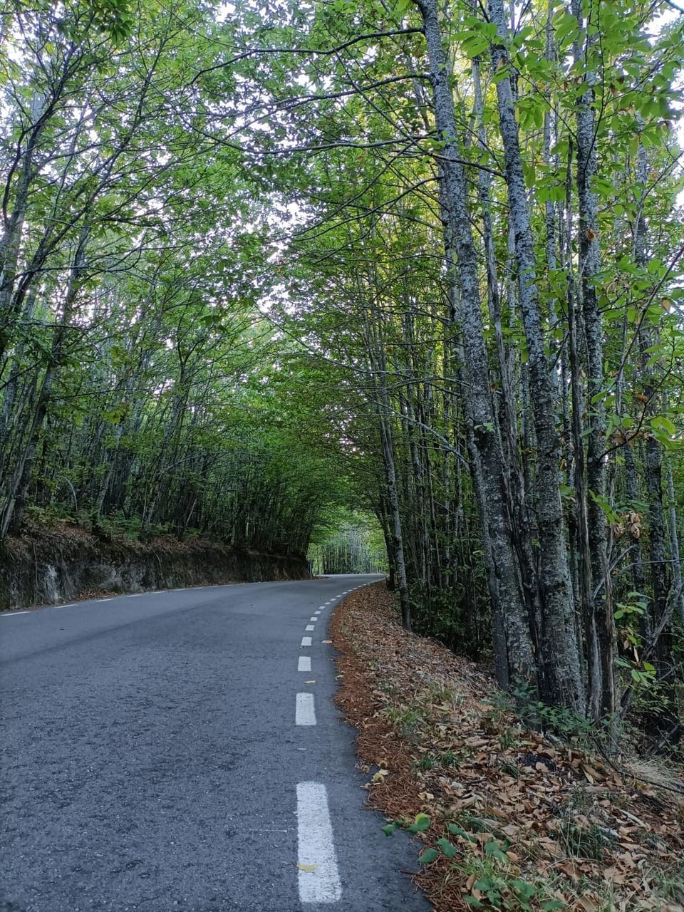 Natural landscape